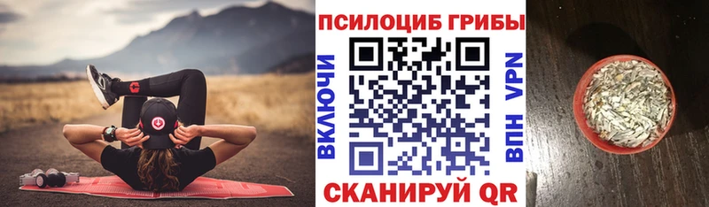 Псилоцибиновые грибы Psilocybine cubensis  Купить где  Ядрин 